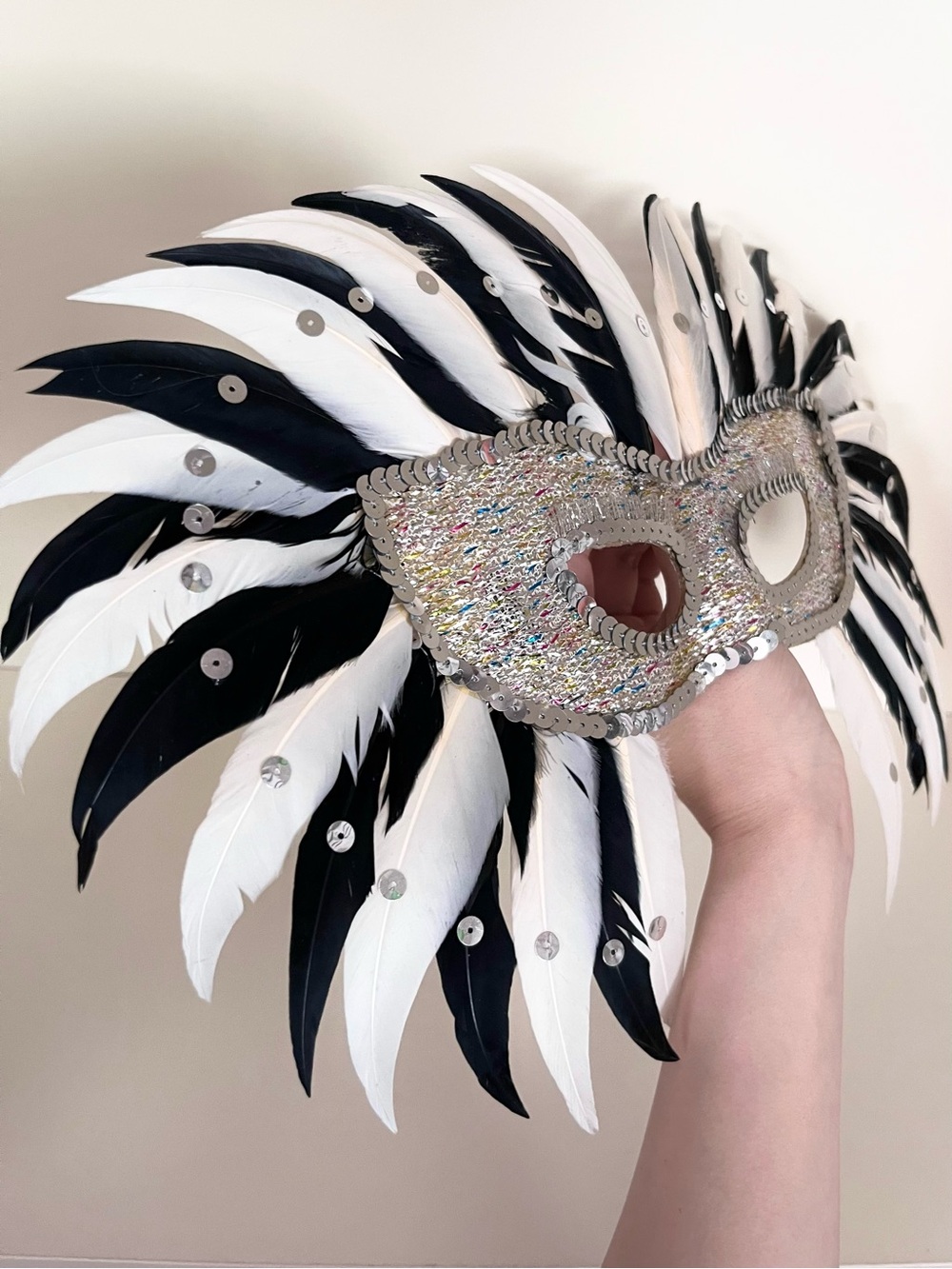 Masquerade feather mask